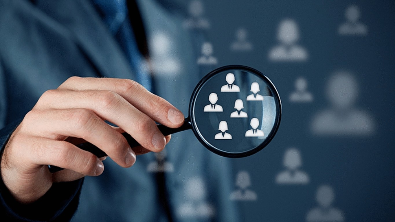 Link Building Program Results